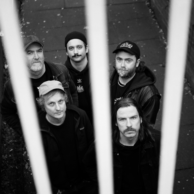 Edinburgh Fringe : Pigs Pigs Pigs Pigs Pigs Pigs Pigs 